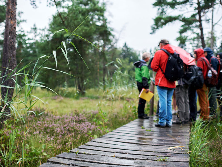 Lightning during a thunder strom