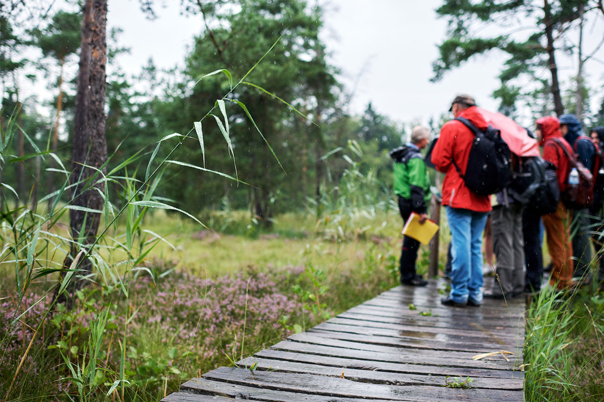 Group of students on an excursion