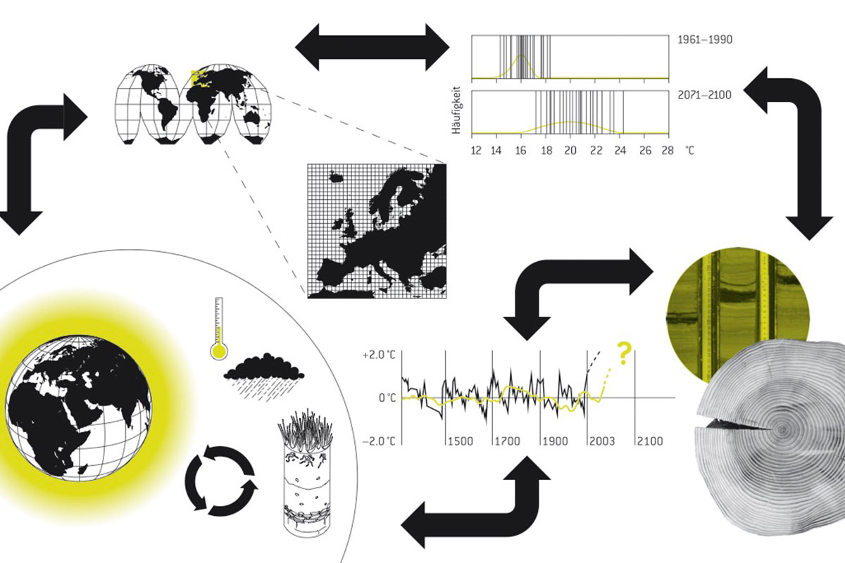 Image Cluster 1