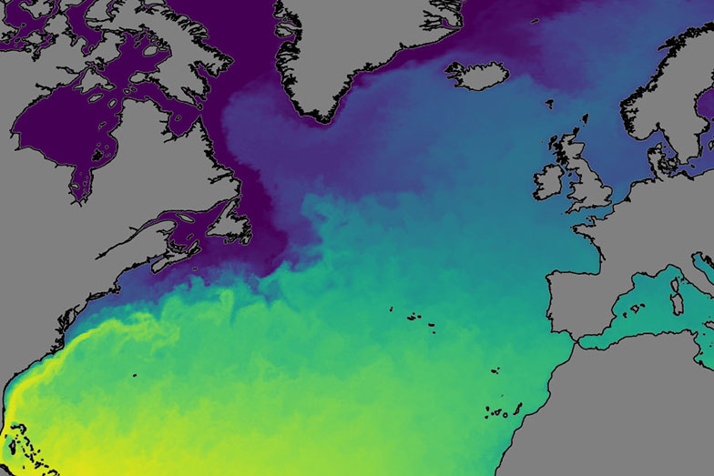 Temperature simulation of the North Atlantic