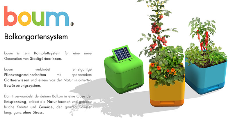 start-up Boum