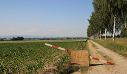 Swiss agriculture