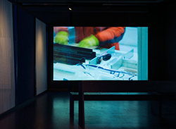 Greenland exhibition