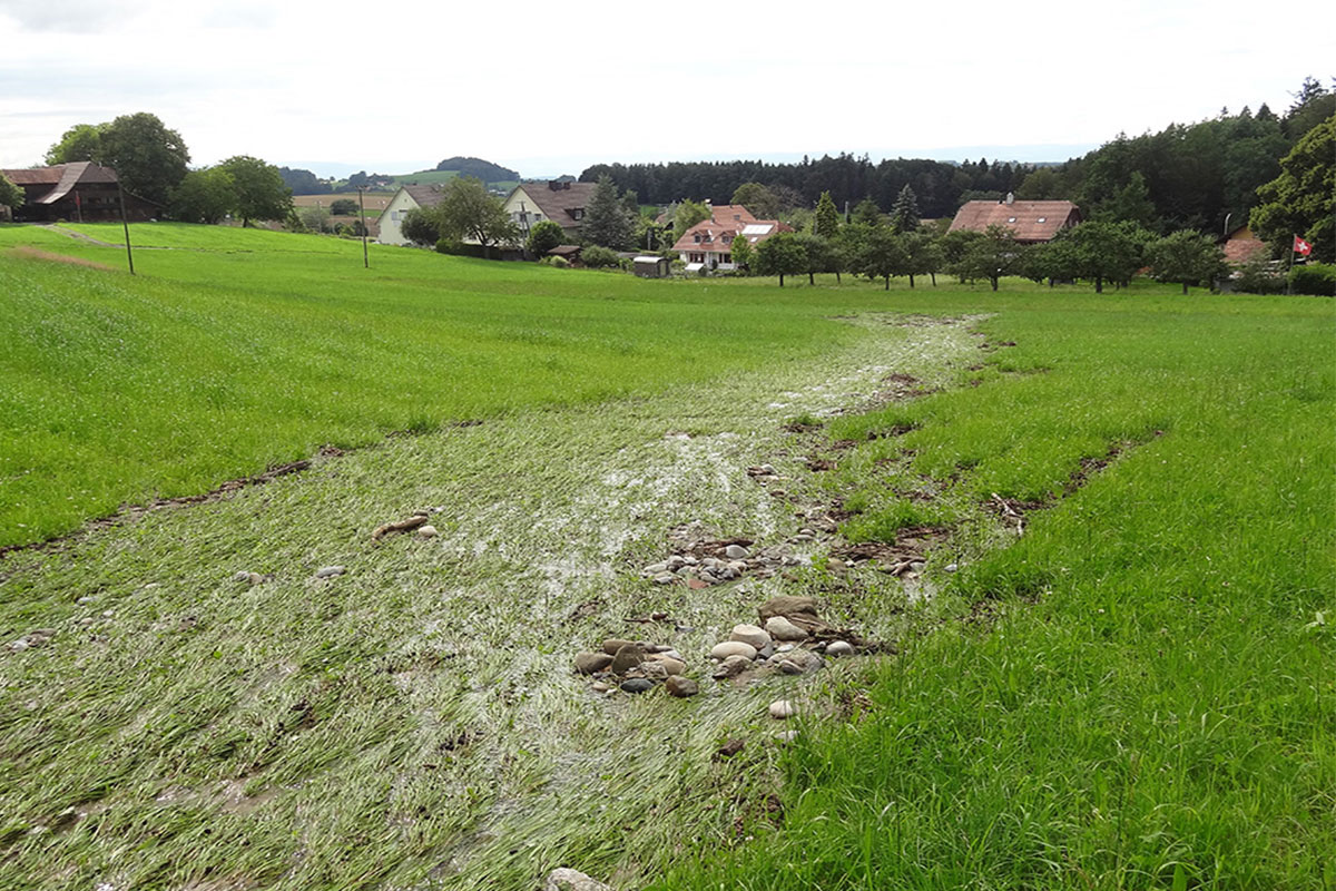 Damaged meadow after a surface water flood