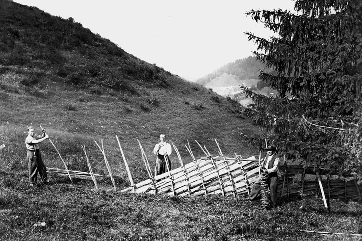 Early photograph of alpine farmers