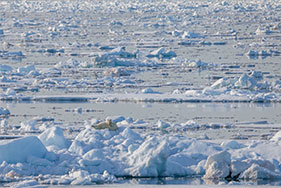 Ice in the Arctic Ocean